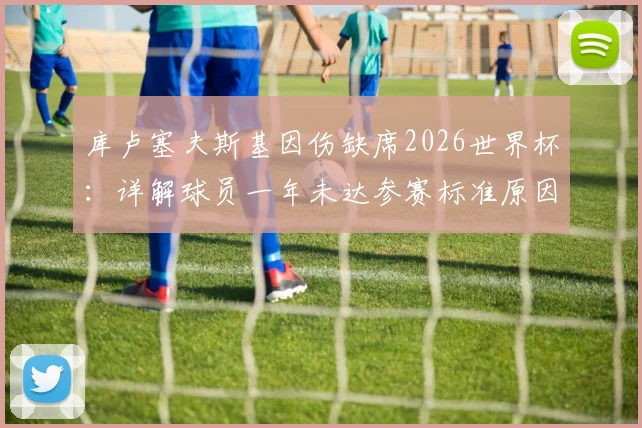 库卢塞夫斯基因伤缺席2026世界杯:详解球员一年未达参赛标准原因与瑞典队锋线影响